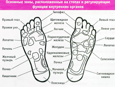 Какие эрогенные зоны доведут до точки кипения | Секс | 1+1